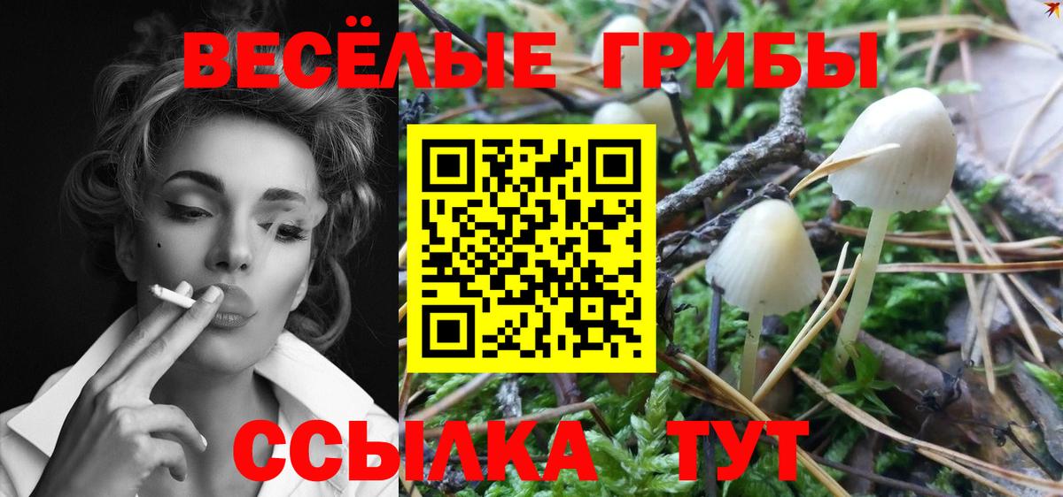 Псилоцибиновые грибы MAGIC MUSHROOMS Красноармейск
