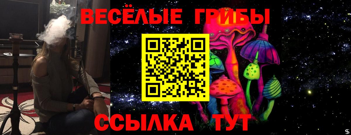 Красноармейск  Галлюциногенные грибы MAGIC MUSHROOMS  Галлюциногенные грибы GOLDEN TEACHER  Вход с VPN 